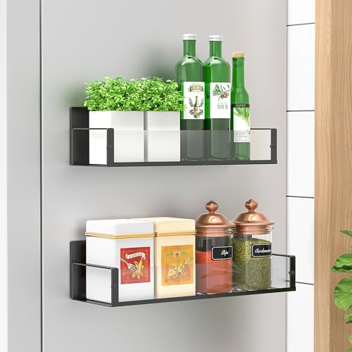 HuggieGems 2 Pack Magnetic Spice Storage Rack Organizer for Refrigerator and Oven, Clear Fridge Organizers and Storage - color: Clear, size: 2 Pack