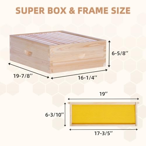 POLLIBEE 10 Frame Langstroth Beehives,Bee Keeping Starter Kit Includes 1 Deep Box & 1 Medium Box with Beehive Frames and Foundations,Complete Beehive Kit for Beekeeper - size: 1 Super+1 Deep
