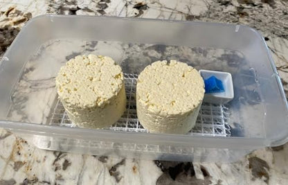 theMilkman® Blue Cheese Making Starter Kit