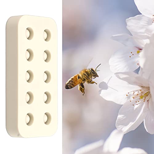 Beekeeping Rearing Box, Queen Rearing System Beekeeping Grafting Kit, Queen Cells Production, Beekeeping Supplies Wax Queen Grafting Cups Silicone Beeswax Cups Making (2 Rows 96x48x14mm) - size: 2 Rows 96x48x14mm