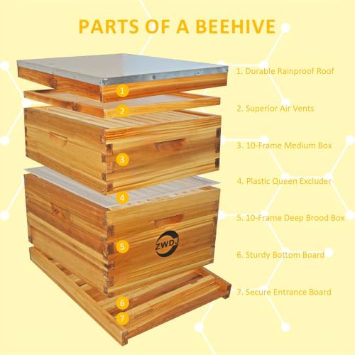 10-Frame Complete Beehive Kit, 2-Layer Langstroth Beehive with Full Beeswax-Coated Foundation Sheet, Complete Starter Beekeeping Kit for Beginners & Professional Beekeepers (2-Layer) - size: 2-Layer