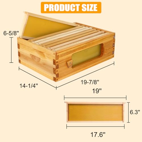 BeeCastle 8 Frame Medium Bee Hive Box, Langstroth Beehive Box Beeswaxed Coated Complete Medium Honey Bee Hive Bee Box with Beehive Frames and Beeswaxed Foundations (Unassembled) - size: 1 Super Box
