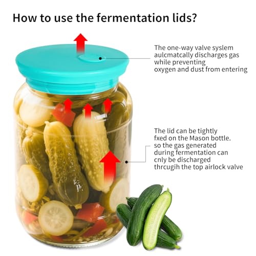 Silicone Fermenting Lids Waterless Airlock Fermentation Tops Wide Mouth Mason Jar Lid Fermenter Caps for Pickles, Kimchi, and Fermented Probiotic Food 3 Pack Mint (Jars Not Included) - color: Mint
