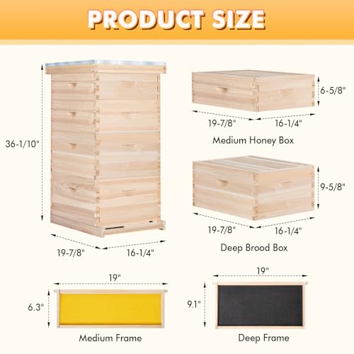 POLLIBEE 10-Frame Bee Hives and Complete Starter Kit, Bee Hives Boxes Includes 2 Deep Bee Box 2 Medium Bee Hive Box with Beehive Frames and Beeswax Coated Foundation Sheets(4 Layers) - size: 2 Super+2 Deep