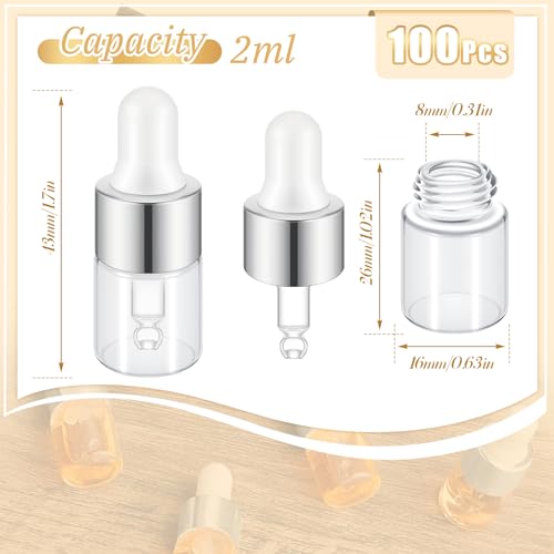 Didaey 100 Pcs 1/2/3/5/10/15 ml Mini Glass Oil Dropper Bottle Bulk, Clear Essential Small Empty Bottles Sample Containers Perfume Liquid Vials with Cap for Traveling (2 ml,Classic Silver) - color: Classic Silver, size: 2 ml