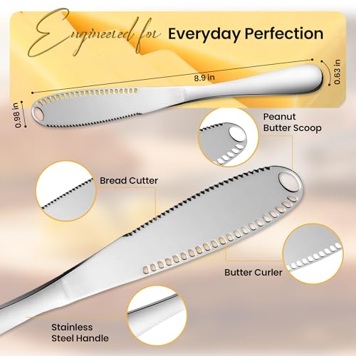Stainless Steel Butter Knife (2)