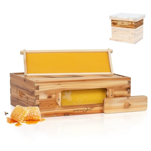10-Frame Langstroth Medium Super Bee Hive Box with Frames | Medium honey super with 10 frames, foundation, beeswax-coated cedar box, and observation window for hive expansion - size: Medium Bee Box