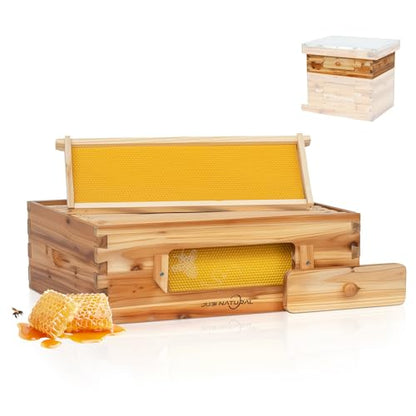 10-Frame Langstroth Medium Super Bee Hive Box with Frames | Medium honey super with 10 frames, foundation, beeswax-coated cedar box, and observation window for hive expansion - size: Medium Bee Box