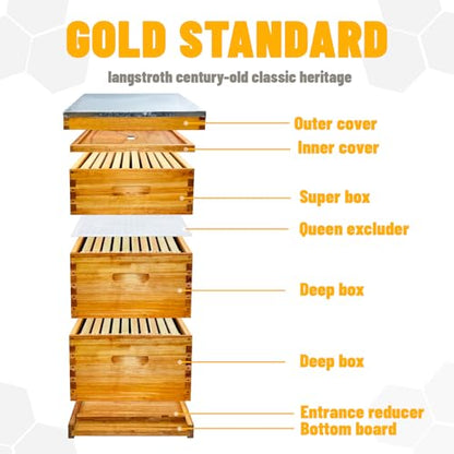 Gold Standard 10 Frame Bee Hive Beeswax Coated Includes Beehive Frames and Foundations (2 Deep Boxes & 1 Medium Box) - size: 10 Frames 3 Layers