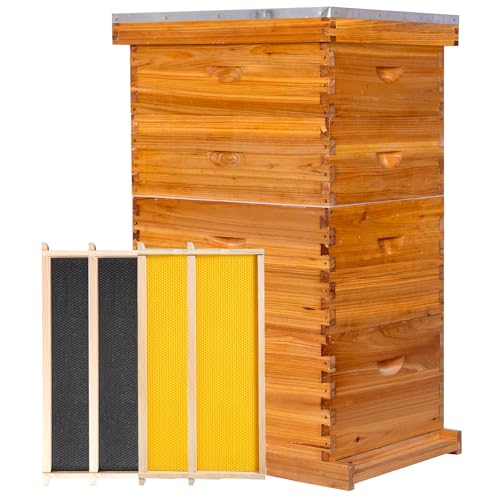 10-Frame Langstroth Bee Hive,4 Layers Beeswax Coated Beehive Kit Includes 2 Deep Brood Hive Boxes and 2 Medium Super Bee Box with Beehive Frames and Foundations for Beekeeper - size: 4 Layers