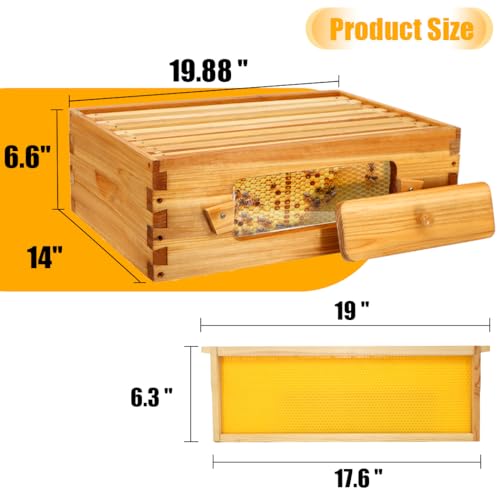 Honey Lake Bee Hive with Windows, 8 Frame Langstroth Complete Beehive Starter Kit Dipped in Beeswax with Beehive Frames and Waxed Foundations (1 Deep Brood Bee Hive Box & 1 Medium Super Bee Box)
