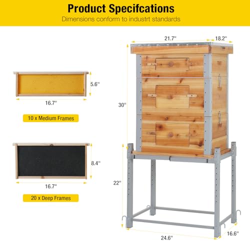 Aivituvin Bee Hive Bee Box 10 Frame Upgrade with All -Around Metal Frame Bee Castle Coated with 100% Beeswax Includes Waxed Foundations,2 Deep Boxes & 1 Medium Box