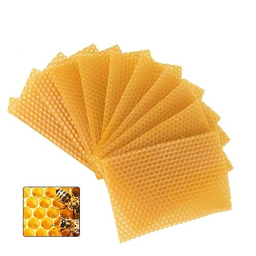 Pro Bamboo Kitchen 8PCS Beeswax Foundation Frames Deep Cell Honeycomb Base Sheets 5.1x3.5 Inches Beekeeping Tools for Bee Attracting Lipstick Making Furniture Maintenance Floor Polishing