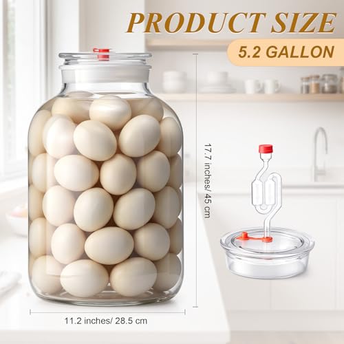 Gisafai 5 Gallon Large Fermenting Jug Wide Mouth Glass Fermenting Container with Airlocks and Silicone Stoppers Fermenter Making Set Glass Water Jar for Sauerkraut Kimchi Pickles Mead & More