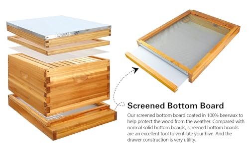2Pcs Beehive Screened Bottom Board 10 Frame Langstroth Bee Hive Screened Bottom Board Dipped in 100% Beeswax with Entrance Reducer Screen Bottom Board with Solid Wood for Beehives Beekeeping Garden - size: 2 Pack 10 Frame