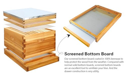 2Pcs Beehive Screened Bottom Board 10 Frame Langstroth Bee Hive Screened Bottom Board Dipped in 100% Beeswax with Entrance Reducer Screen Bottom Board with Solid Wood for Beehives Beekeeping Garden - size: 2 Pack 10 Frame