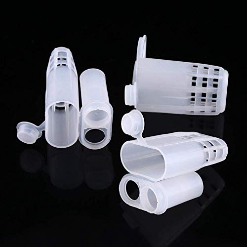 Walfront Queen Bee Cages 10Pcs Plastic Isolator Rearing Catcher Holder Beekeeping Tool