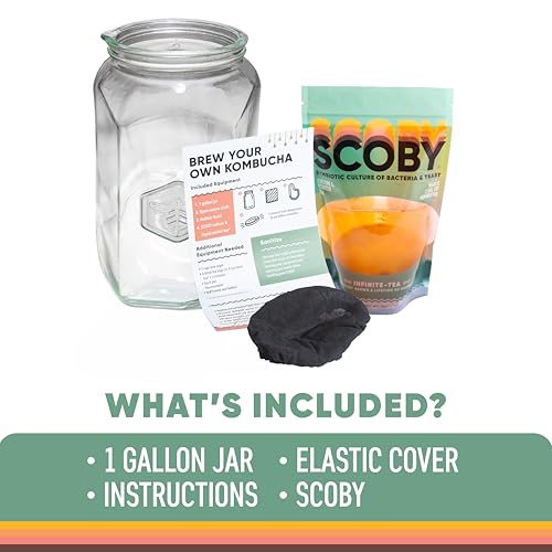 Craft A Brew - Kombucha Basic Starter Kit - For Home Brewing - Includes Fresh Kombucha SCOBY Starter, 1 Gallon Fermenting Jar, Cloth Cover, Brewing Guide - color: Basic Kit