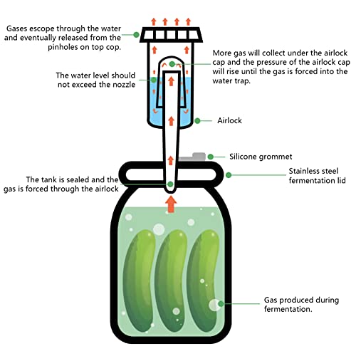 Artcome 18 PC Airtight 1 Gallon Fermentation Lid with Airlock - Transform Gallon Jar Into a Fermenter - Perfect for Pickles, Hard Kombucha, Beer, Wine, Cider - Gallon Lid with Econolock Airlock - size: 4 airlocks + lids