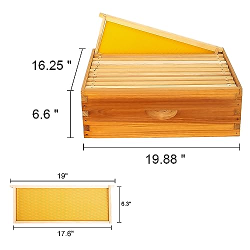 Honey Lake 10-Frame Langstroth Beehive Starter Kit, Beeswax Coated Complete Bee Hive Includes 2 Deep Brood Boxes & 2 Medium Super Bee Boxes with Beehive Frames and Foundations for Beekeepers (4 Layer) - size: 10-Frame 4-Layer