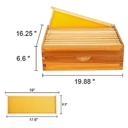 Honey Lake 10-Frame Langstroth Beehive Starter Kit, Beeswax Coated Complete Bee Hive Includes 2 Deep Brood Boxes & 2 Medium Super Bee Boxes with Beehive Frames and Foundations for Beekeepers (4 Layer) - size: 10-Frame 4-Layer