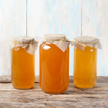 1 X Organic Kombucha Scoby - Live Culture by Scoby Kombucha