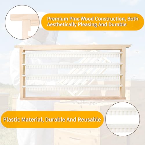 Beekeeping Queen Cell Cup Holder Frame Bar Set Double Row Royal Jelly Storage Strips for Beekeeping