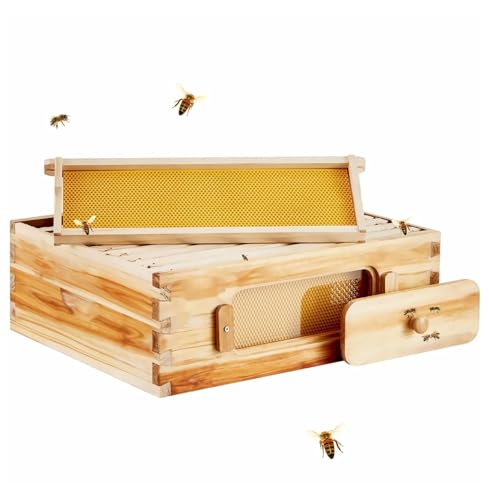Bee Hive Medium Box Kit - Cedar Wood Langstroth Beehive with 10 Frames, Beeswax Coated, Acrylic Windows - Beginner & Pro Beekeepers