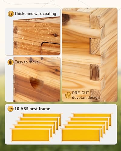 10-Frame Langstroth Medium Super Bee Hive Box with Frames | Medium honey super with 10 frames, foundation, beeswax-coated cedar box, and observation window for hive expansion - size: Medium Bee Box