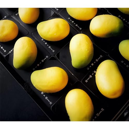 OCPO KITCHEN Mango Silicone Mold for Baking Mousse Cake, Fruit French Dessert, Pastry, Chocolate, Ice Cream, Cake Decoration Mold, 3D Mango Shape (10-Cavity) - style: Mango (10-Cavity)