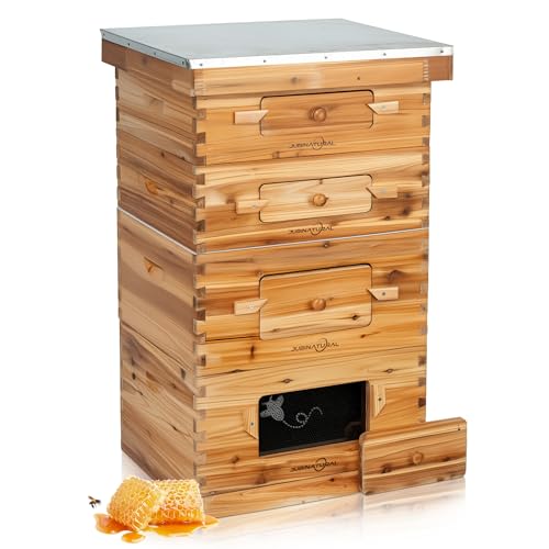 Bee Hive Starter Kit 10 Frame Langstroth Beehive 2 Deep 2 Medium Boxes | 10-Frame Langstroth Hive with 2 Deep Brood Boxes, 2 Medium Honey Supers, 40 Pine Frames and an Observation Window - size: 2Deep+2Madium Bee Box