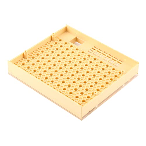 Queen Bee Grafting Tool 20x16x13cm Beekeeping Queen Breeding Cup Box Cell Rod Blocks Caps Hair Rollers Cages Beekeeper Equipment