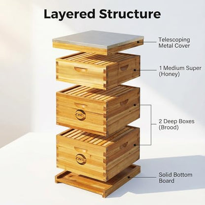 10 Frame Beehive Kit with Beeswax Coated Frames, Complete Langstroth Beehive for Beekeeping, Includes Waxed Foundation, 2 Deep Boxes and 1 Medium Box for Honey Production - size: 10 Frame Beehive Kit