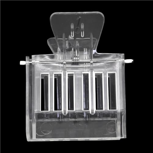Queen Bee Cage 30PCS Durable Plastic Clear Beekeeping Clip Queen Bee Cage No-Hurt Beekeeper Equip Insect Catcher Garden Tool Beehive Room