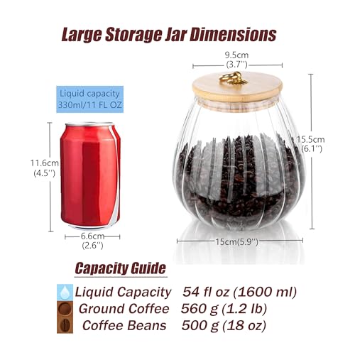 FANTESTICRYAN Glass Coffee Nuts Canister Airtight Storage Jar Petal Decorative Container with Bamboo Lid Metal Handle Easy to Grasp 1600ml, 54 FL OZ (Large Oval)