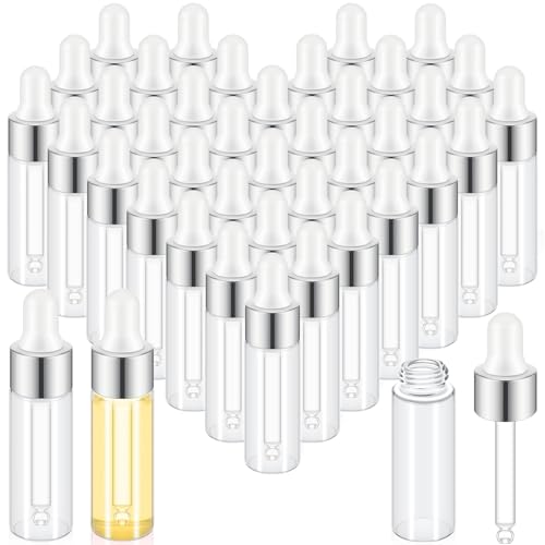 Didaey 200 Pcs 1/2/3/5/10/15 ml Mini Glass Oil Dropper Bottle Bulk, Clear Essential Small Empty Bottles Sample Containers Perfume Liquid Vials with Cap for Traveling (5 ml,Classic Silver) - color: Classic Silver, size: 5 ml