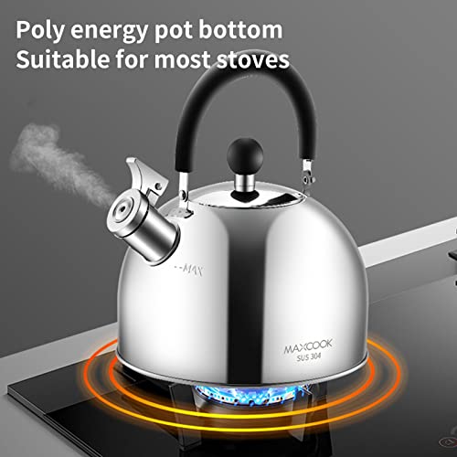 304 Stainless Steel Whistling Tea Kettle 2.1 Quart/2L, Suitable to Boiling Water & Tea on Induction Stove, Gas Stove Top - color: Silver, size: 2.1 Quarts