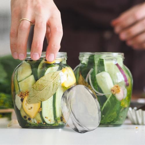ABOOFAN Glass Fermentation Weight for Mason Jars 2.75 in Round Pickling Stone for Wide Mouth Mason Glass Jars Keeps Vegetables Submerged for Sauerkraut Kimchi Pickles 1 Pack