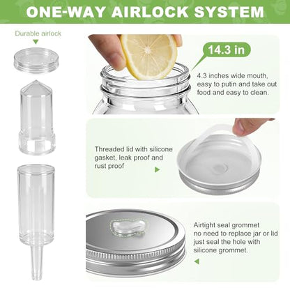 Fermentation Kit for Wide Mouth Mason Jars (86mm), 316 Stainless Steel Fermentation Lids, Glass Weights, Airlock System, Complete Home Fermenting Set (Jars Not Included)