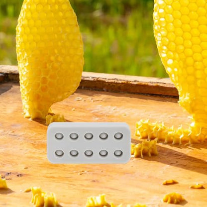 UPKOCH Silicone Beeswax Queen Rearing Mold Beekeeping Grafting Kit Small Size Bee Equipment for Winter Hive Management and Honey Production