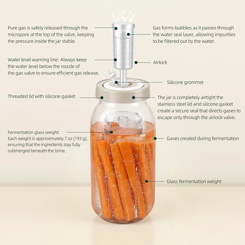 64oz Fermentation Jar Kit with Date-Tracking Lid Airlock Seal and Fermenting Weights, Wide Mouth Glass Jars with Scale Mark for Making and Storing Sauerkraut, Pickles (Pack of 2)