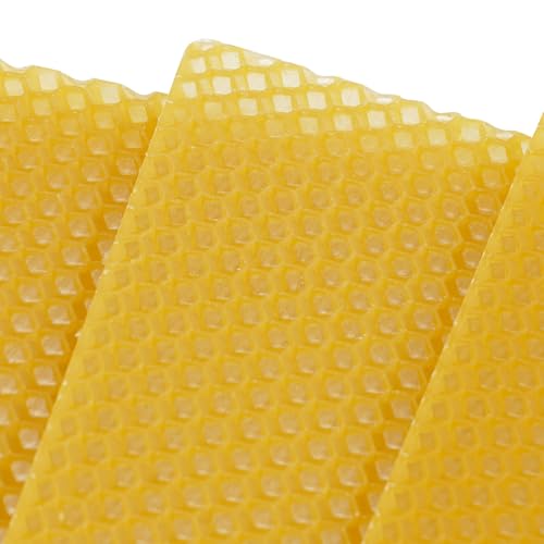 30PCS Bee Hive Foundations, Beeswax Comb Sheets for Beekeeping, Deep Nest Honeycomb Wax Frame, Waxing Beekeeping Equipment Supplies for Hive Frames 7.68"x16.34"