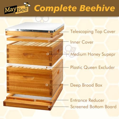 MayBee 10 Frame Screened Bottom Board Beehive Dipped in Original Beeswax, Bee Hives Kit Includes 1 Deep Box & 1 Medium Box with Beehive Frames and Wax Coated Foundations