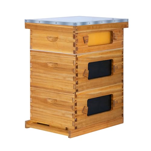 10 Frame Bee Hive Starter Kit with Windows, Beeswax Coated Langstroth Bee Hives Boxes for Beekeepers with Beehive Frames and Waxed Foundations (2 Deep Brood Bee Box & 1 Medium Super Box) - size: 10 Frames 3 Layers