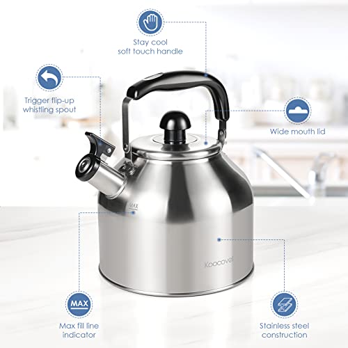 4.2 Quart/4L Large Whistling Tea Kettle, 304 Stainless Steel Brushed Satin, Fast Boil for Induction & Gas Stoves - size: 4.2 Quarts