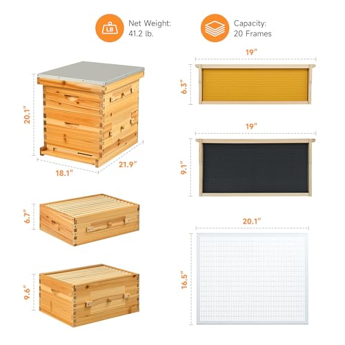 CREWORKS 20 Frame Bee Hive, Beeswax Coated Beehive Kit with Medium & Deep Boxes, Langstroth Bee Hive Boxes Starter Kit, Bees Hives Box with Transparent Acrylic Window - style: 2 Layers
