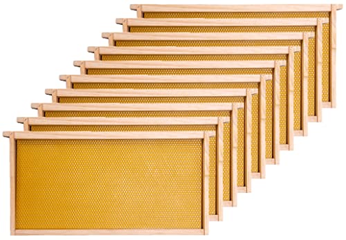 Honey Lake Deep Beehive Frames and Foundations Kit, 10 Pack Brood Wooden Frames and Natural Beeswax Dipped Plastic Foundation for Beekeeping - color: 10Pack-Yellow