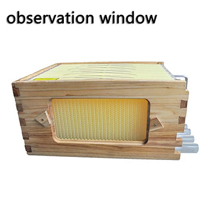 Golden Palace Auto Super Box, Honey Super, with 7pcs Auto Super Frames, Beehive Supplies