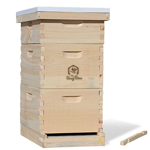 Amish Made in USA Complete Langstroth Bee Hive Includes Frames and Foundations (2 Deep, 1 Medium)