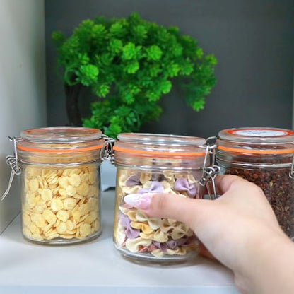 8 oz Glass Jars with Lids, 6 Pack Small Glass Jars with Airtight Lid | Overnight Oats Containers with Lids, Glass Spice Jars with Airtight Lids for Kitchen Canning, Honey, Nuts, Snacks, Jelly - size: 8oz*6-cylinder